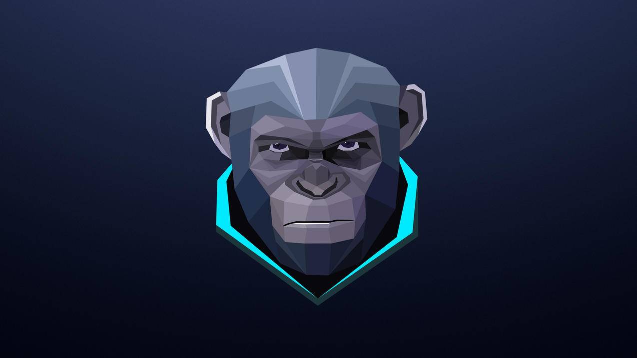 hero-image